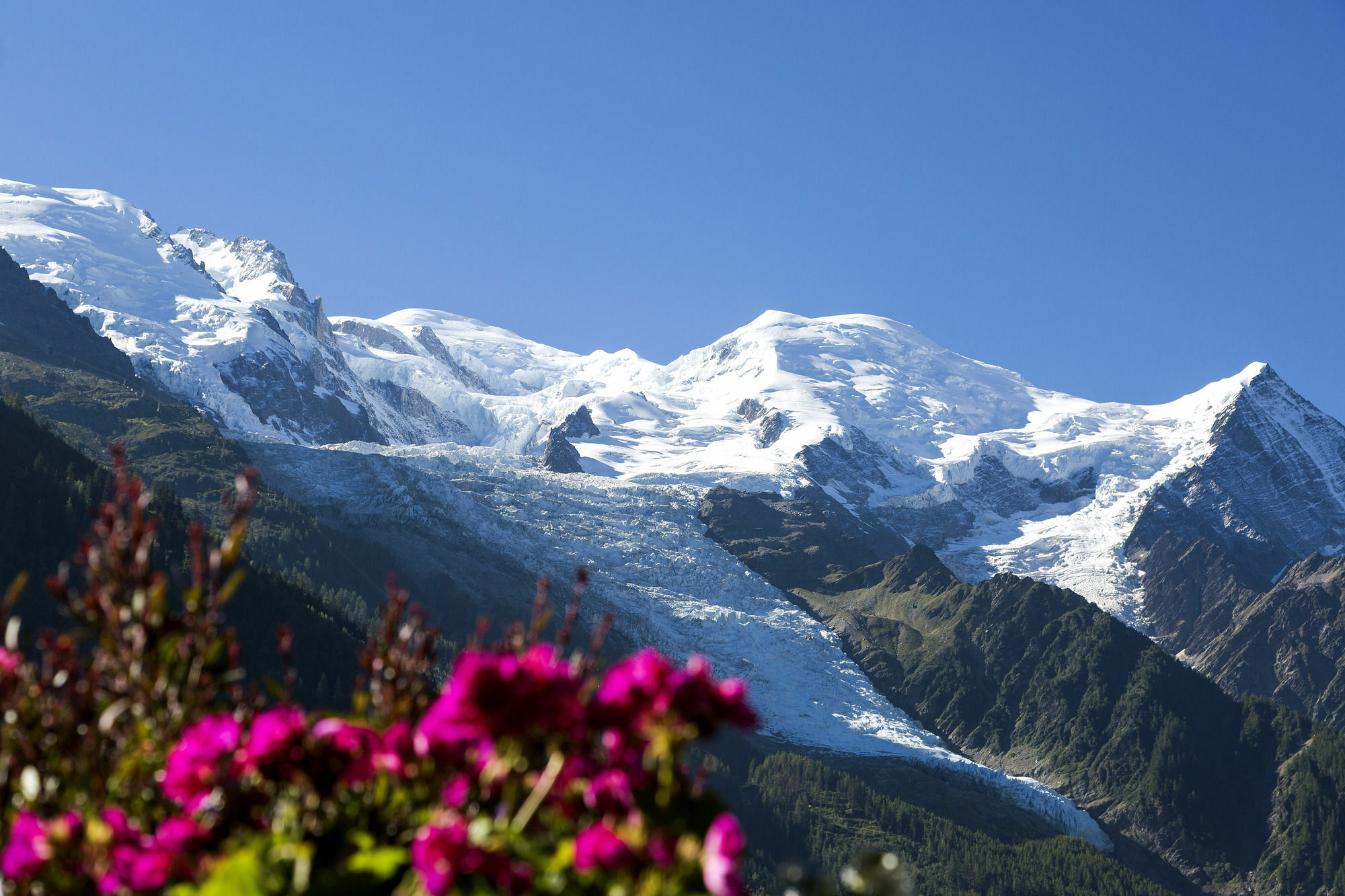 Hotel Mont-Blanc Chamonix Eksteriør billede